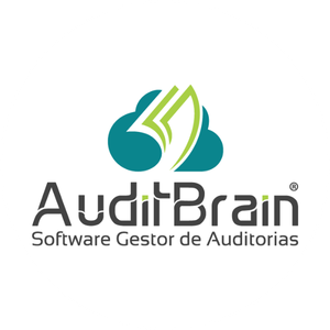 Audit Brain