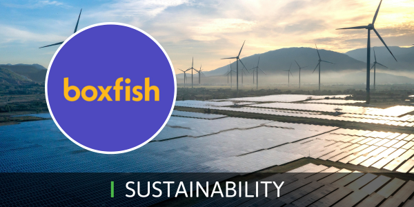 UK Sustainability Reporting Standards