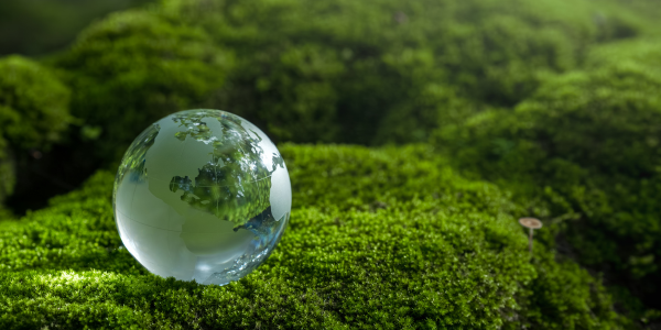 IFAC Sustainability Checklist