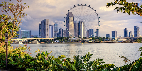 Rising Singapore Tax