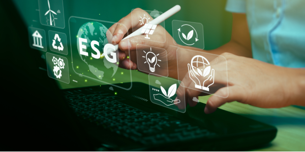 How Sustainability Paves the Way for Business Opportunities