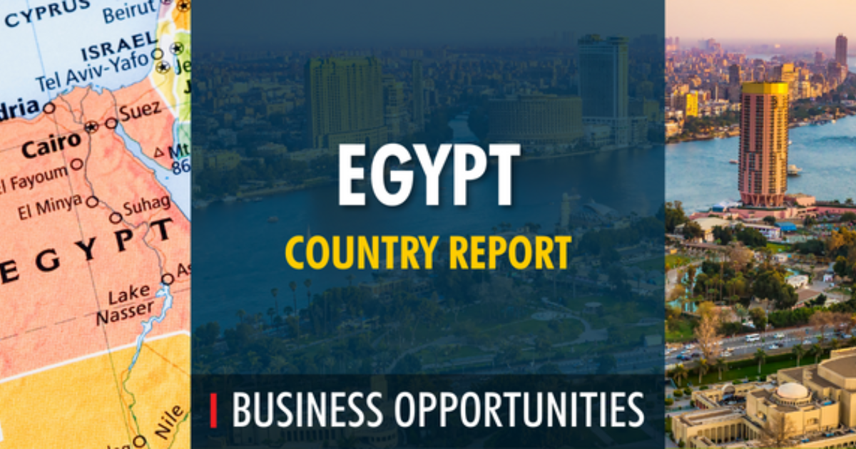 PrimeGlobal | IAB Egypt Country Report (Wadid Rizkalla & Co.)