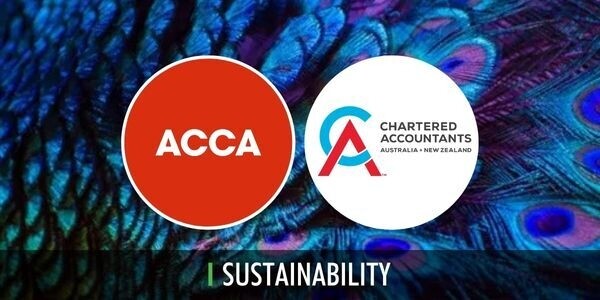 ACCA ISSA 5000 1