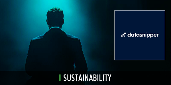 Auditors in the dark datasnipper Sustainability 01 25