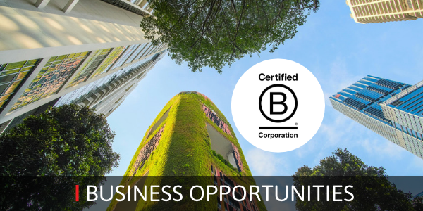 B Corp article