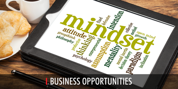 Business Opportunities 2022 2