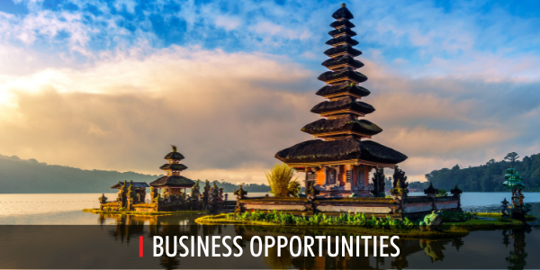 Indonesia Thought Leadership