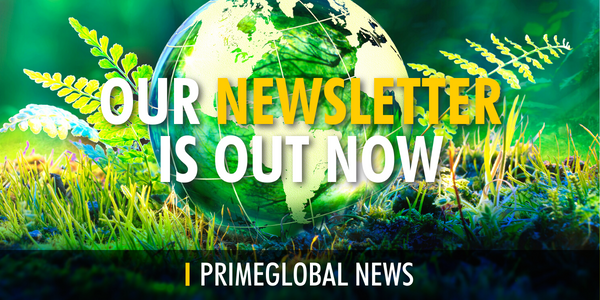 Newsletter MN 08 22