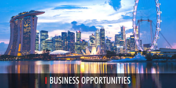 South East Asia Bo In Corp 04 22
