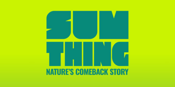 Sumthing PN 06 24