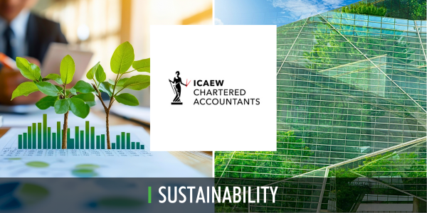 Why Sustainability Standards Matter ICAEW 01 25