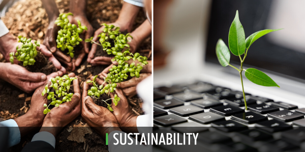 Wise Sustainability 01 24