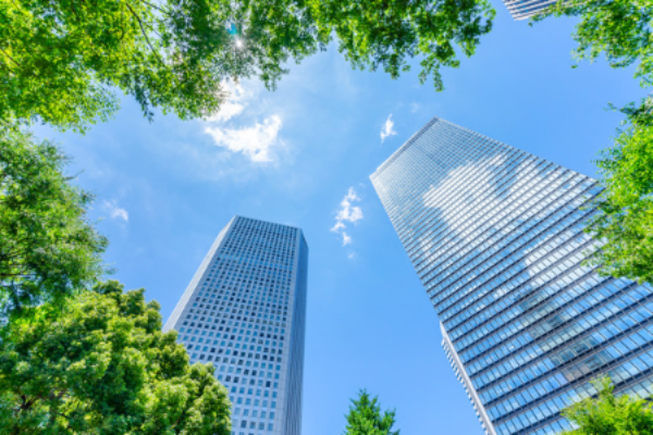 Environmental Social Responsibility (ESR)