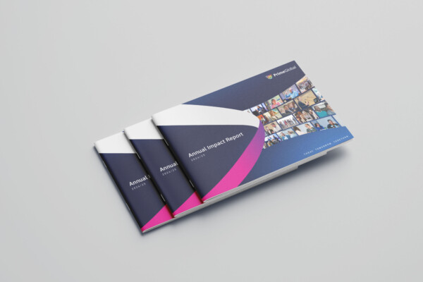 Annual Impact Report 2024/25 >