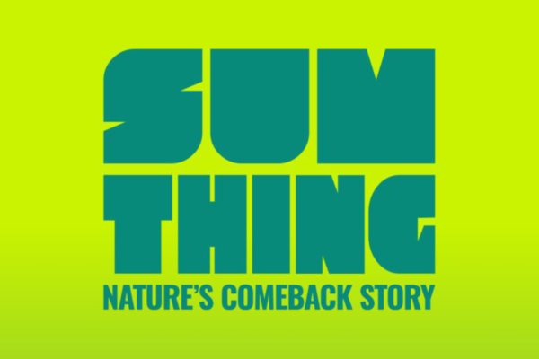 Sumthing's Impactful Initiatives
