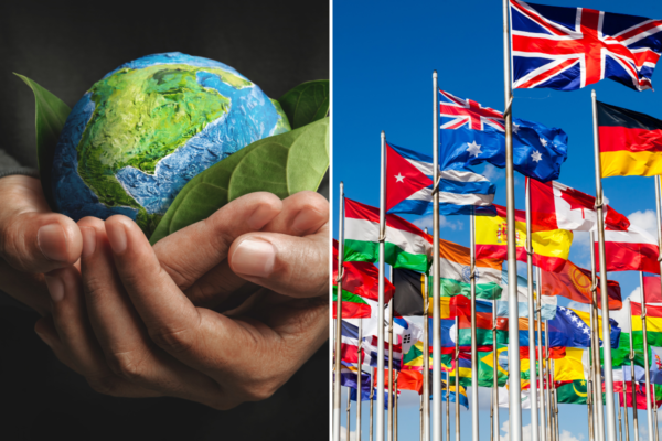 Our Sustainability Insights