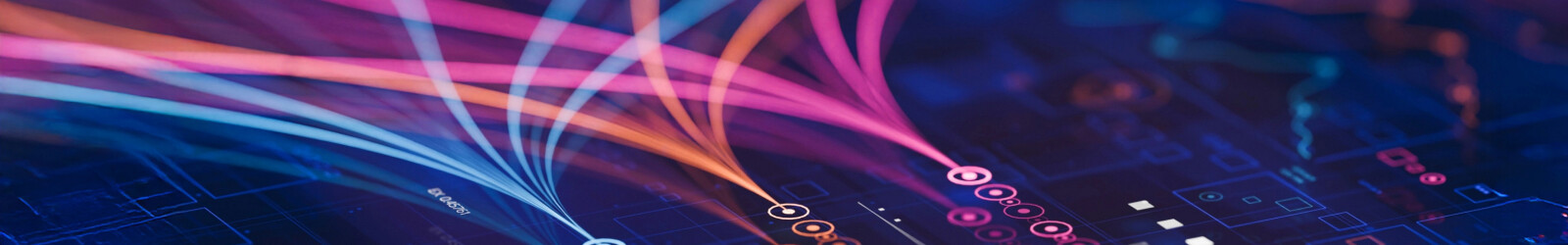 WLS Web Banner 2025