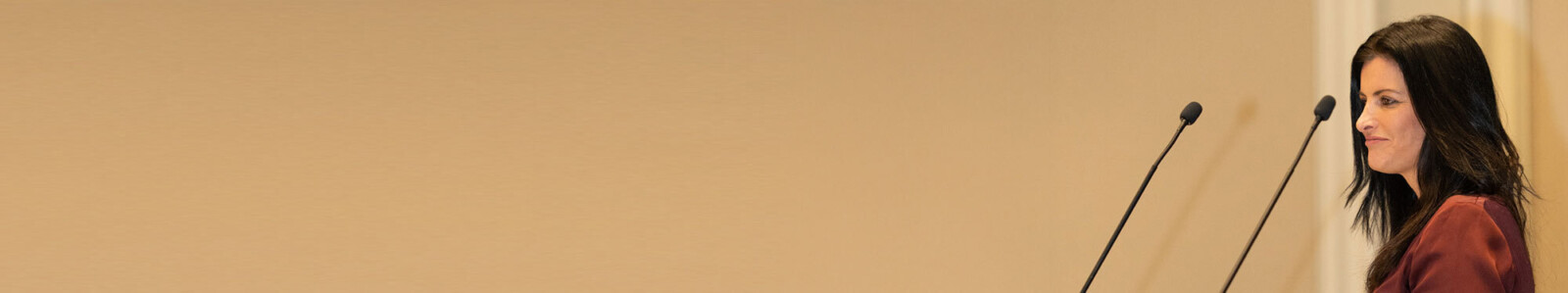 PG 2000pix talent Dev banners