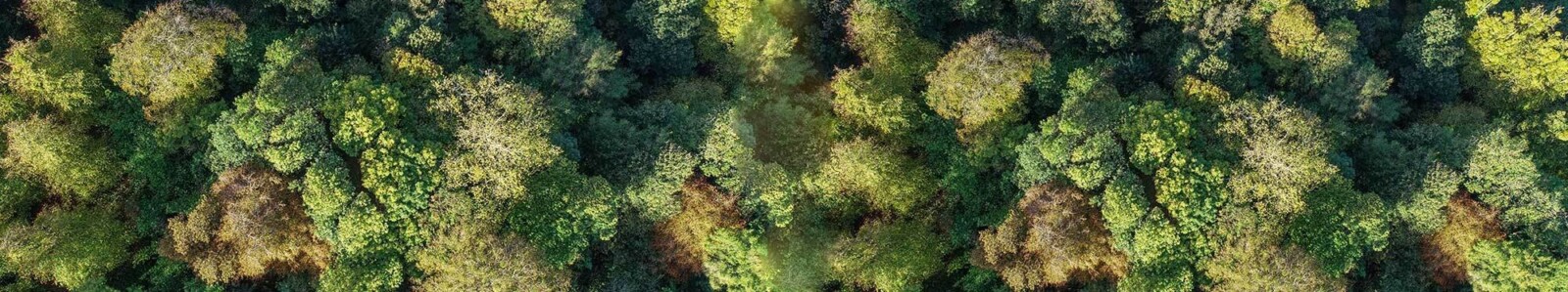 PG environment B 2000px