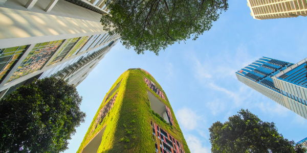 Sustainability Hub