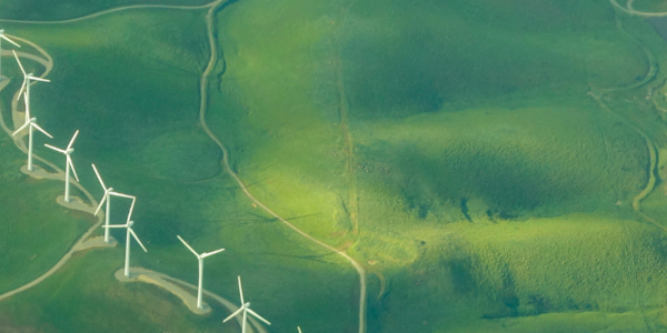 Sustainability 1600X400